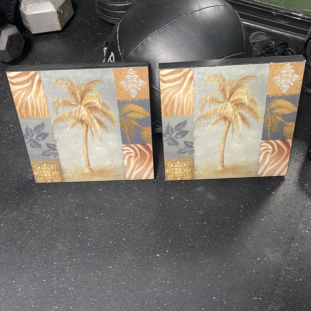 Palm tree wall pics